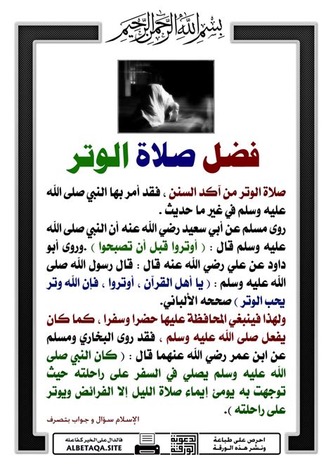  فضل الوتر .. هل من أهملها آثم؟  - صدى البلد