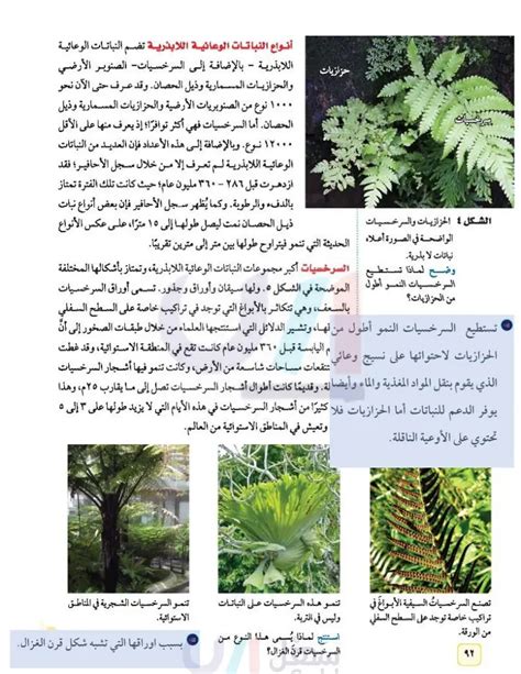 قارن الفرق بين النباتات والكمبيوتر؟ - عالم الحلول قارن الفرق بين النباتات والكمبيوتر؟ - عالم الحلول