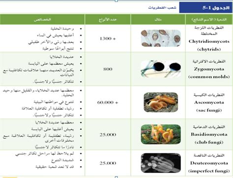  قام العلماء بتعيين الفطريات اللزجة المختلطة سابقًا إلى المحتجين بسبب؟  - افضل جواب