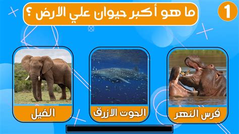  قبعات الحيوانات فتال؟  6 أحرف قبعة الحيوانات فتاهل العرب؟  لغز الحيوانات بونيه فثال؟  اختبار الأسئلة