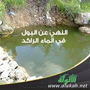  قرار بشأن التبول في الماء الراكد مثل  ب- مسبح