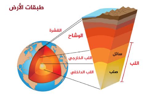  كل طبقة تفي بمهمة محددة.  كم عدد الطبقات والمراحل التي يمتلكها هذا النموذج؟  - منتدى العلوم