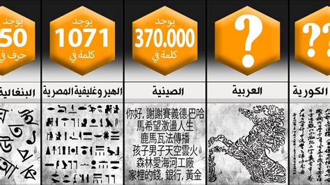  كلمة موجودة في جميع لغات العالم |  الرسول
