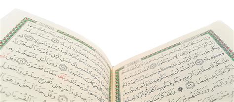  كم عدد السجدات في القرآن وكم آيات سورة البقرة؟  - بري