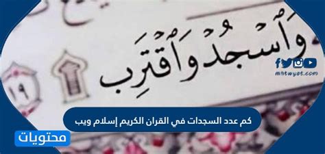  كم عدد السجدات في موقع القرآن الكريم إسلام ويب؟  - الإجابات