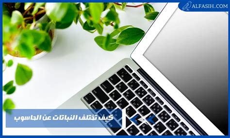 كيف تختلف النباتات عن الكمبيوتر؟ - حلول الفجر كيف تختلف النباتات عن الكمبيوتر؟ - حلول الفجر