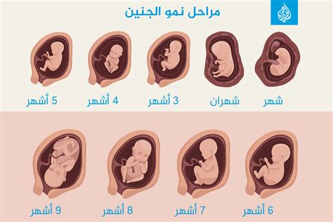  كيف تخسر 5 أرطال في الشهر |  فتاة واحدة