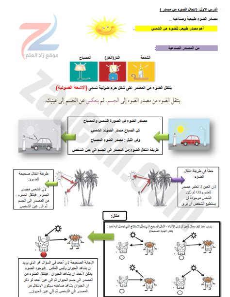  كيف غيرت بياجيه الطريقة التي نرى بها أطفال العالم؟  موقع أكاديمية بوست