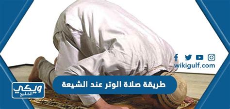  كيف يصلي الوتر عند الشيعة |  شخصيه كينغ كونغ