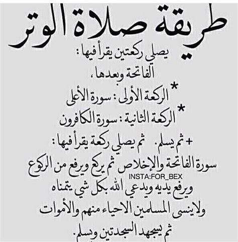  ما الذي يتلى في صلاة الوتر وكم ركعة وفضلها؟  - صفحة المحتوى