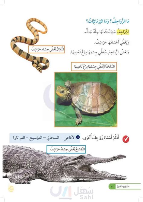  ما الذي يغطي جسم الزواحف؟  - سؤالك