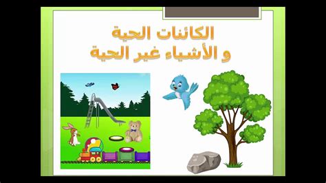  ما الذي يميز الكائنات الحية والكائنات غير الحية؟  _solution - عربي عرقي