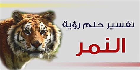 ما تفسير رؤية النمر في المنام للمسحور؟ - سؤال وجواب ما تفسير رؤية النمر في المنام للمسحور؟ - سؤال وجواب