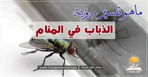 ما تفسير رؤية ذبابة في المنام؟ - الإسلام سؤال وجواب ما تفسير رؤية ذبابة في المنام؟ - الإسلام سؤال وجواب