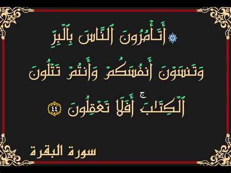  ما هي أجمل آيات القرآن؟  - صفحة المحتوى