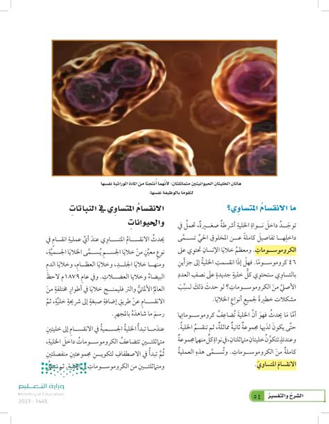  ما هي الخلايا التي يمكن أن تنمو بشكل أكبر وما هي أبرز الأنواع؟  - تحقيق الاتجاه