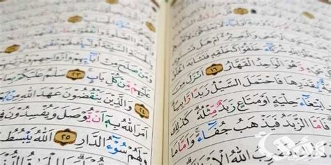  ما هي السور التي فيها سجدات؟  .. والحكمة منه |  الرسول