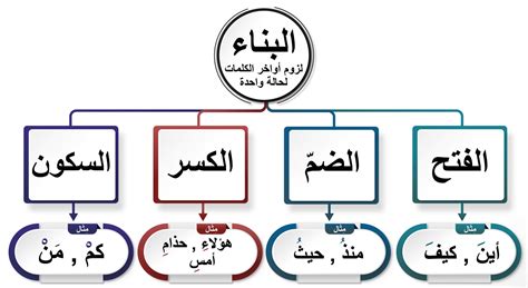  ما هي الكلمة المكونة من 4 أحرف التي تشير إلى صوت النائم؟  - حلول