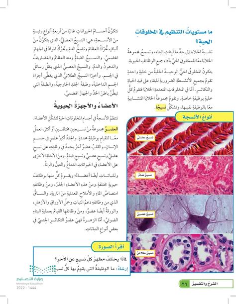  ما هي المستويات التنظيمية الموجودة في الكائنات الحية؟  - بشكل منهجي
