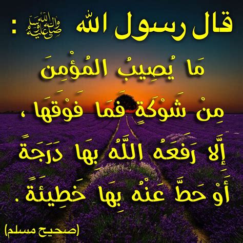  ما هي صحة حديث عن الصبر في حر المدينة وبرودها في الجنة؟  - موقع ترينداتي