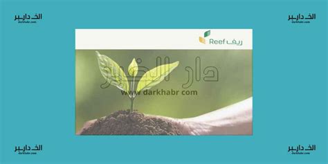  ما هي مدة دراسة طلب "ضمان التنمية" وفترة التسجيل؟  - جريدة عاجلة