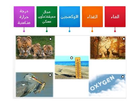  ماذا الكائنات الحية بحاجة؟  - بشكل منهجي