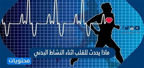  ماذا يحدث للقلب أثناء النشاط البدني؟  .. ومتى يكون مفيدا أو ضارا؟  - المرسال