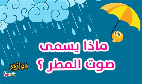 ماذا يسمى صوت المطر؟  - سؤال وجواب