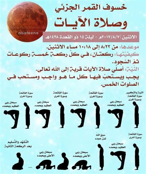  متى تصلي في صلاة الوتر؟  - حروف عربية