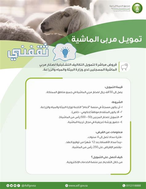  متى سيتم تخفيض دعم الثروة الحيوانية؟  1444 موعد دفع قسط مربي المواشي - اتجاهات 2024