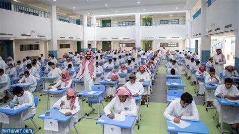  متى يبدأ سيرفيتام في العمل؟  - موقع القلعة