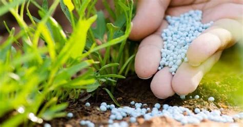 مثال على ذلك أحماض الخليك. سماد. الأمونيا. فيتامين ج - المملكة العربية السعودية مثال على ذلك أحماض الخليك. سماد. الأمونيا. فيتامين ج - المملكة العربية السعودية