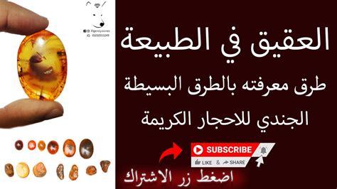 مثال على كيفية معرفة المزيد عن الطبيعة؟ - صدر مثال على كيفية معرفة المزيد عن الطبيعة؟ - صدر