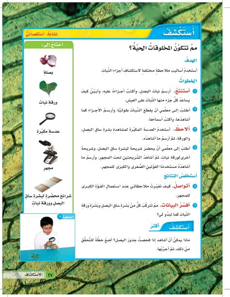  مخلوق حي متعدد الخلايا يستطيع كل فرد من أفراده طهي طعامه.  من هو - المبنى الثقافي
