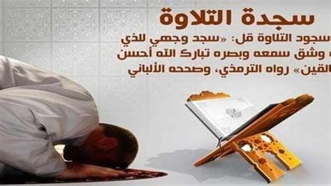  هل السجدة واجبة في القرآن؟  - تفاصيل
