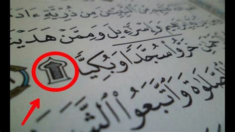  هل تعلم كم عدد السجدات في القرآن الكريم؟  - نور الاسلام |