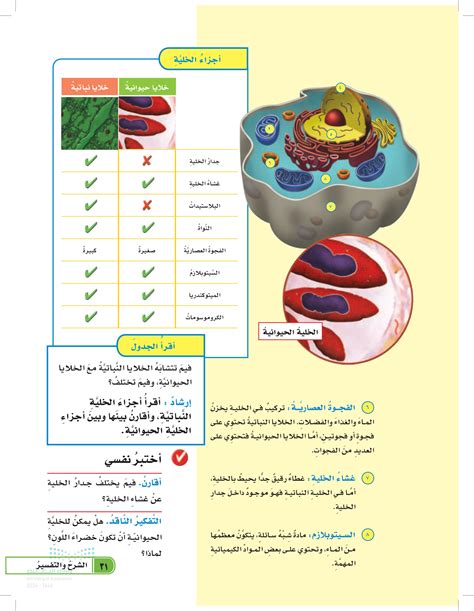 هل يمكنك حل مسألة المناطق في الخلايا التي تخزن الماء والغذاء وبعض الفضلات؟ - الراقي دوت كوم هل يمكنك حل مسألة المناطق في الخلايا التي تخزن الماء والغذاء وبعض الفضلات؟ - الراقي دوت كوم