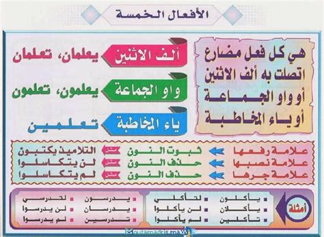  وفقًا لدراستي للأفعال الخمسة، فإن مكمل الفعل الخامس هو العمل، العمل، العمل، العمل، إنه يعمل.  - أسئلة وأجوبة المعتمد