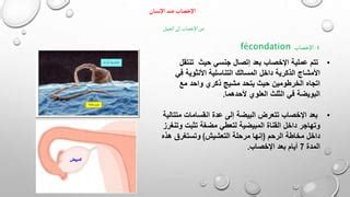  يتم التعامل مع الاستجابة التصويرية الذكرية في النطق على أنها مذكر من البشر أو الحيوانات.  الصواب الخطأ - بيت العلوم