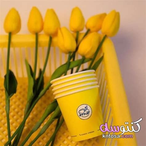  يكره الفتيات والفتيان يحبون اللون الأصفر؟  صفحة مساعدتي