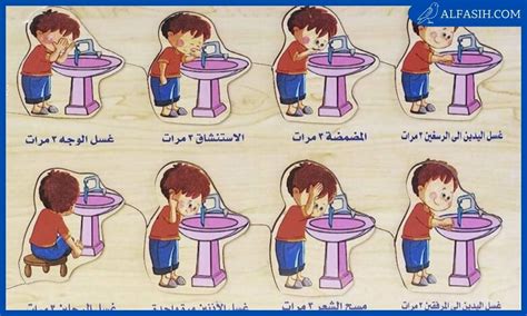 7 من مبطلات الوضوء الرئيسية - الدارابية
