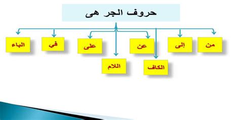 Chitin هو Chitin - الداعم الناجح