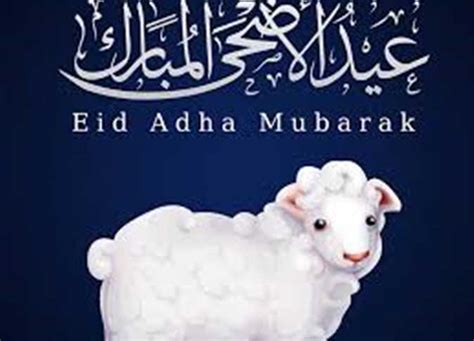 happy eid adha تهنئة عيد الاضحى 2024 بالاسم أجمل رسائل التهنئة للأهل والأصدقاء والأحباب كلمات مؤثرة - ثقفني