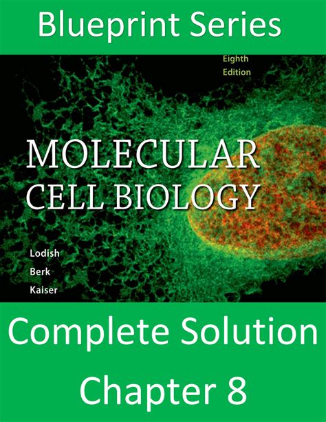 il ya 4 jours The Solution Chapter 8. يسعدنا زيارتك على موقع House of Science الإلكتروني وموطن جميع الطلاب والطالبات الذين يرغبون في التفوق وتحقيق أعلى الدرجات الأكاديمية حيث - منحة رقية بيادسا
