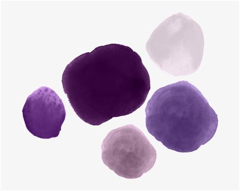 SBC Purple A4 Transparent Face File - انظر الرسالة