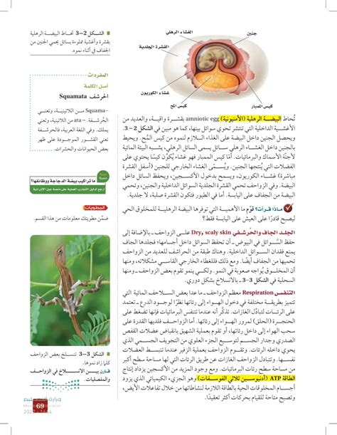 Tropism في الزواحف هو استوائي - إنتاج تعليمي