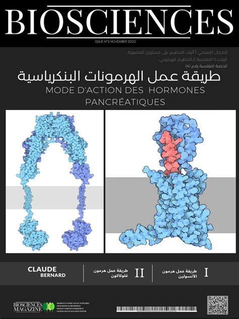 آليات عمل الهرمونات - ويكيبيديا