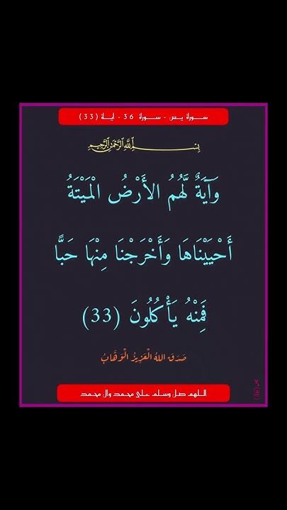 آية القرآن المستوى 36 - اسألني