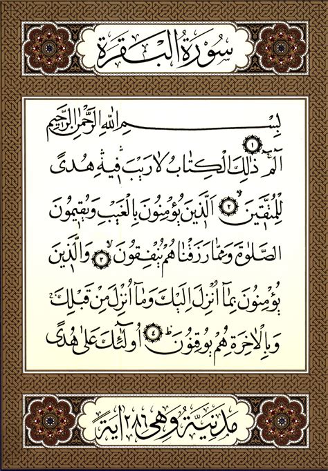 آية وتقريبا - WikiShia