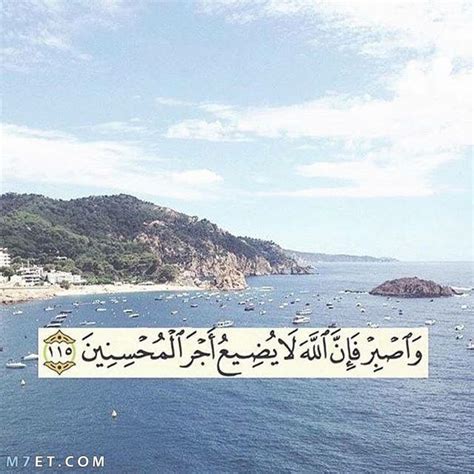 أجمل آيات القرآن عن الصبر - حياتك
